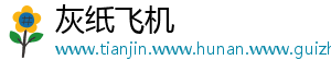 灰纸飞机